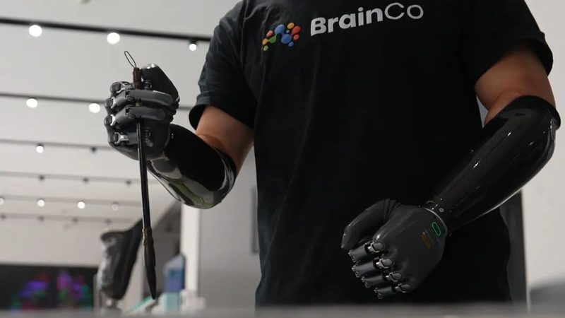 数据中台：2025年品牌排行榜背后的行业洞察